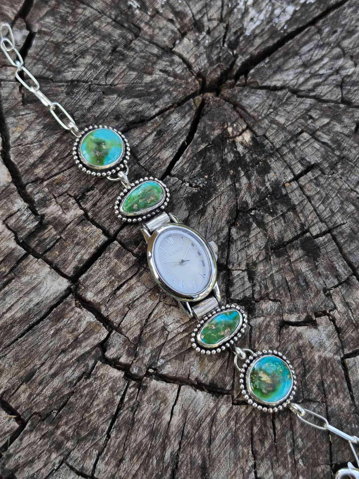 Sonoran Watch