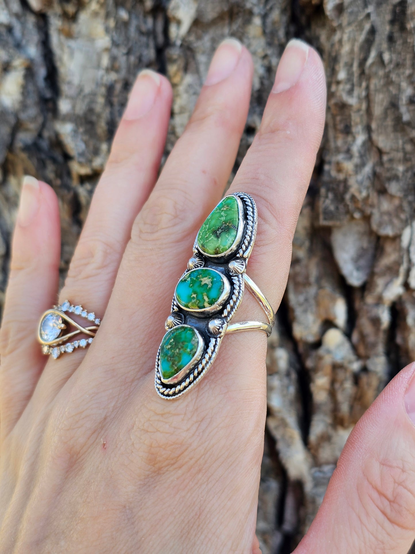 Sonoran Mountain Ring